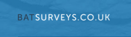 Bat Surveys Ltd