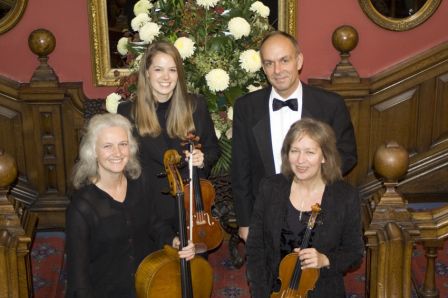 Haysden Strings
