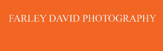 Farley David Photography and Sound