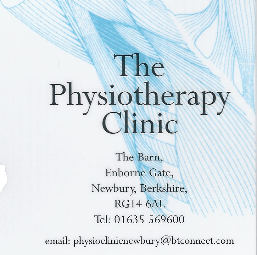 The Physiotherapy Clinic
