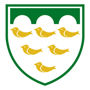 Three Bridges Cricket Club