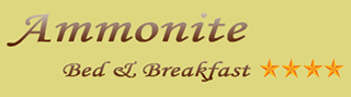 Ammonite Bed and Breakfast
