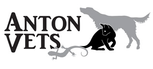 Anton Vets