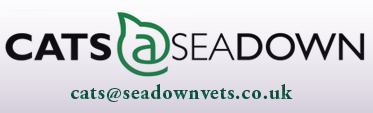 Cats @ Seadown