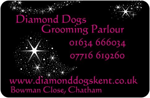 Diamond Dogs Grooming Parlour