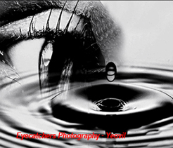 Eyecatchers Photography