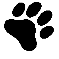 Alis K9 Care